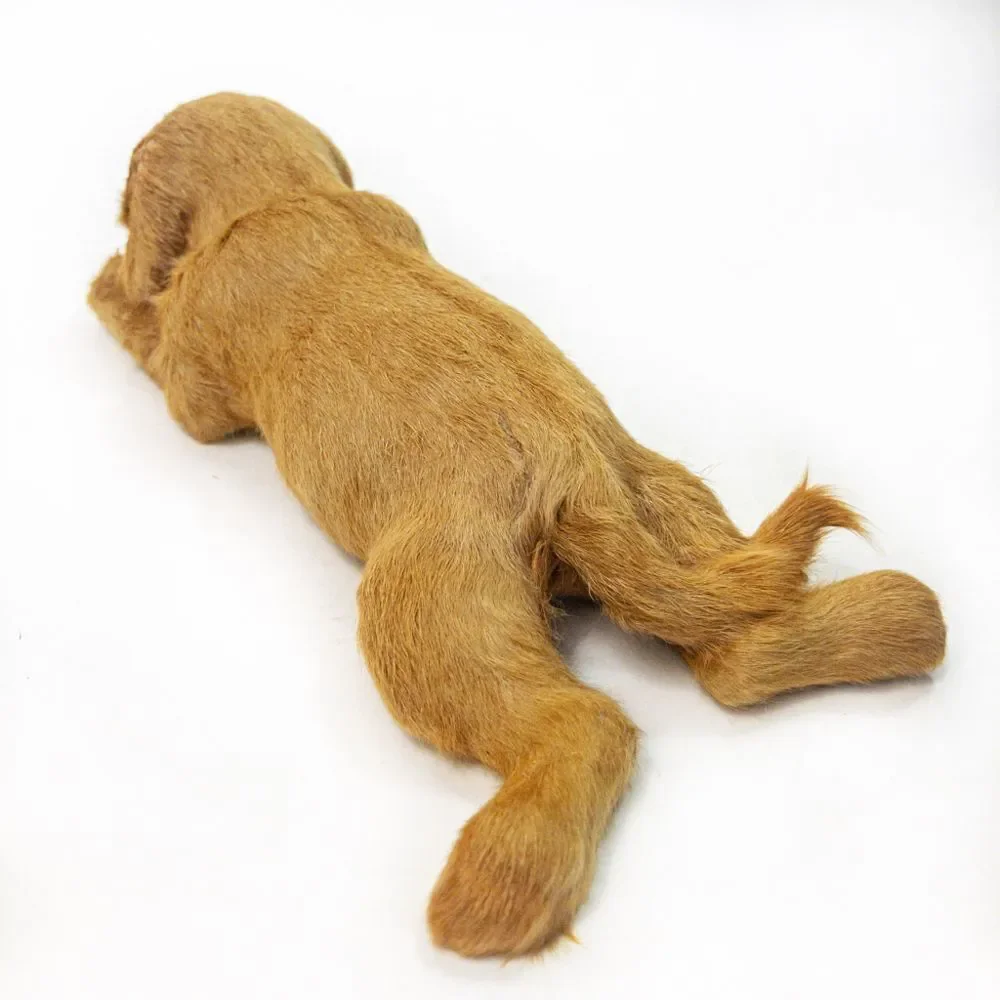 Vintage Golden Retriever Puppy Dog Figure - Real Fur
